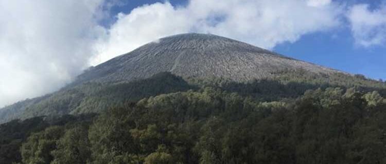 Get to know the beauty and uniqueness of Mount Semeru, the highest mountain on the island of Java