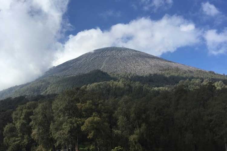 Get to know the beauty and uniqueness of Mount Semeru, the highest mountain on the island of Java