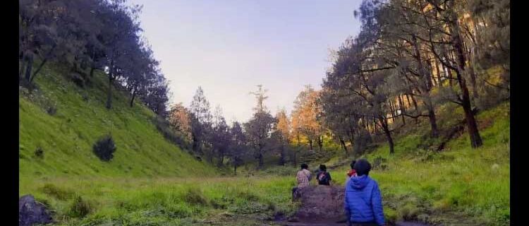 the beauty of Mount Lawu