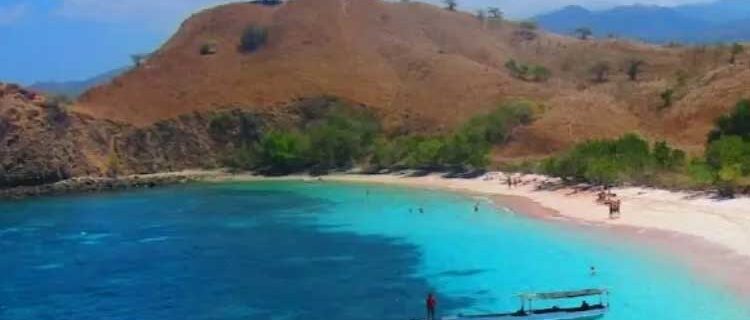 Popular Labuan Bajo Tourism, Beautiful Pink Beach - Komodo Island