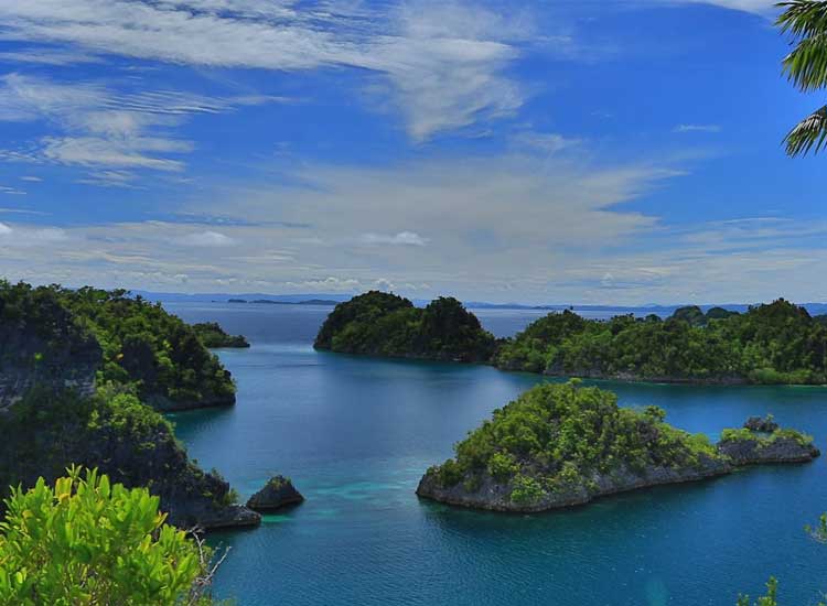 Enjoy the natural beauty and mainstay icon of Raja Ampat, Indonesia's hidden paradise