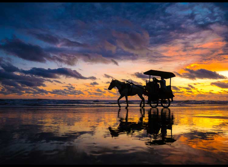 Tourist Attraction to Parangtritis Beach