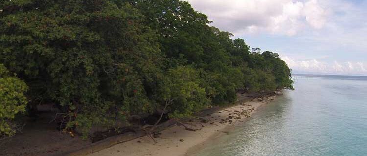 Spend the Day at Ambon's Best Beach, Liang Beach