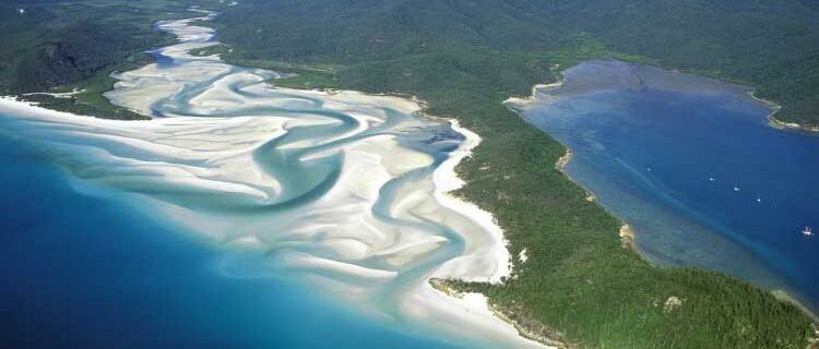 Admire the Beauty of Whitehaven Beach, Queensland