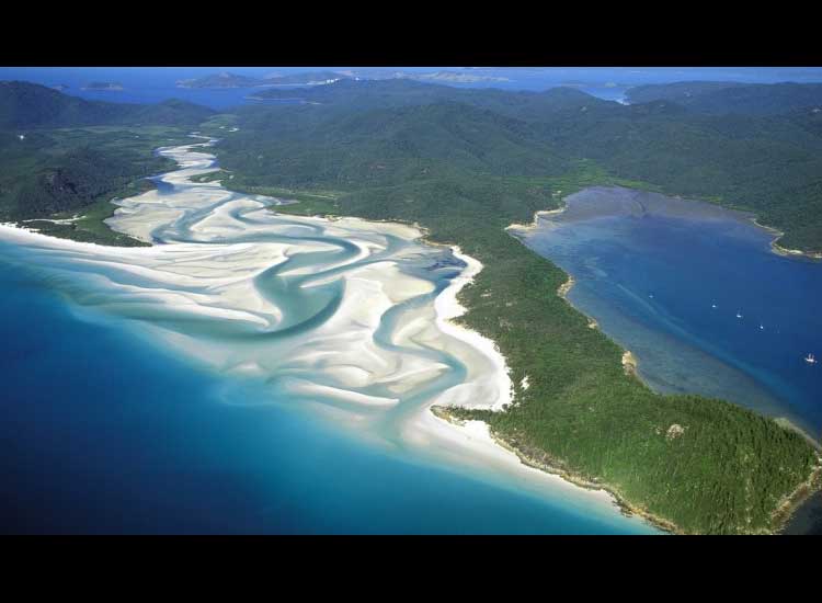 Admire the Beauty of Whitehaven Beach, Queensland